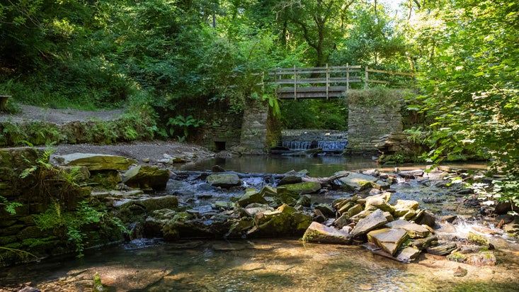 The collapsed weir on the Morden stream